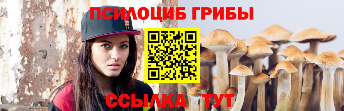 Псилоцибиновые грибы Psilocybe  Галлюциногенные грибы Cubensis  Вход с VPN  Ирбит 